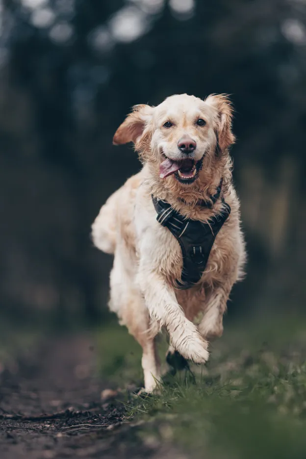 Mable Running